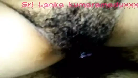 Sri lanka amatör