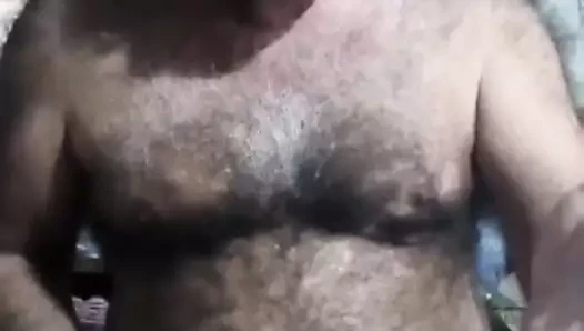 Urso