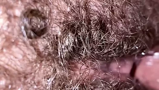 Şişman kıllı karısının kedi için kremalı pasta