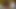 Gina etrafta oynamayı seven seksi bir Çek sarışın