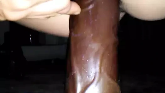 Sert içinde hızlı kremalı kedi