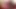 Allie Haze seduces Jelena Jansen !!!