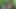 Had hardcore sex with friend's girlfriend in the forest