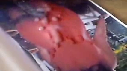 Immer wieder geil spritzen