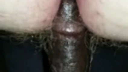 Kıllı beyaz kedi alır bbc eyersiz