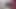 Orta yaşlı seksi kadın tarafından kadın kılıklı bir seks bebeği gibi kullanılıyor