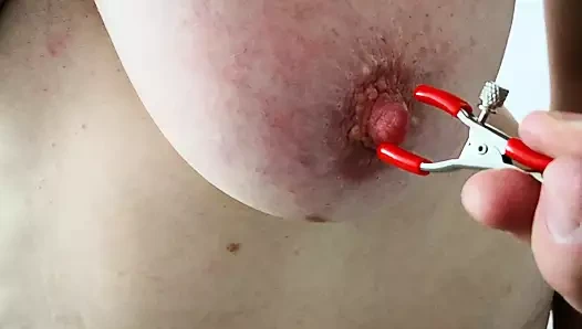 Jingle bells göğüsleri