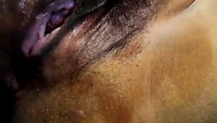 Çinli kedi yakın mastürbasyon