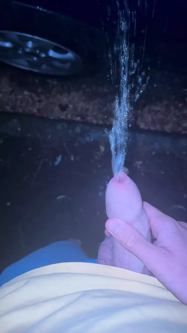 Писсинг в машине ночью