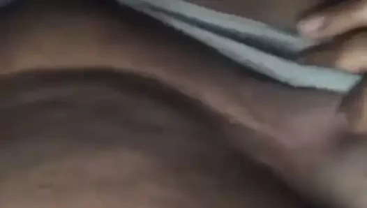 Gordibuena cols Ohio