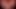 Asmr pov minik minyon tatlı kedi tohumlama - derleme