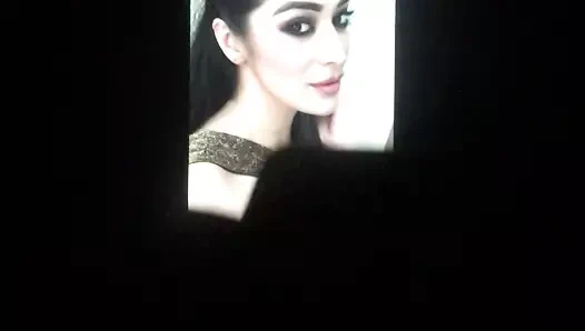 Laxmi raicum haraç-1
