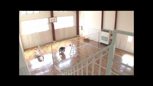 Pururun! Pururun! Tits Volleyball