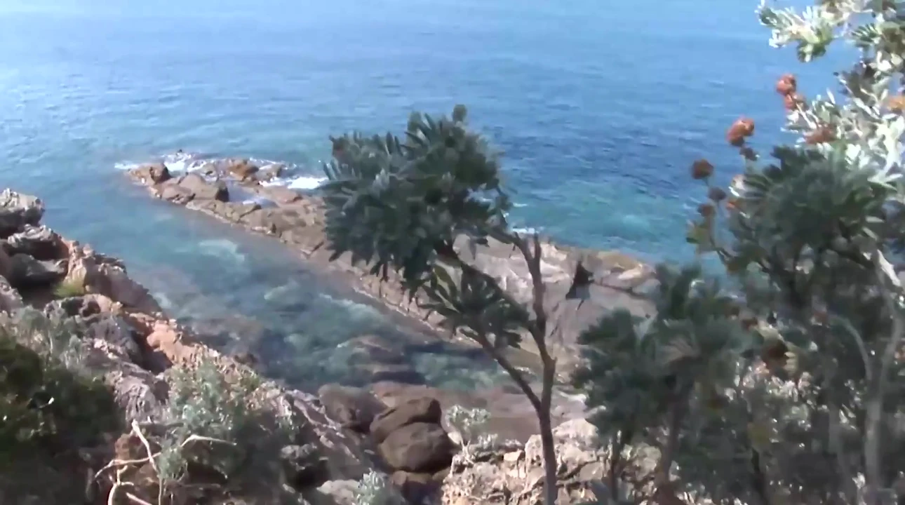 Scandalo Estivo a Livorno (Full Movie)