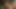 Düz ortalama görünümlü haydut solo mastürbasyon ve jizzes