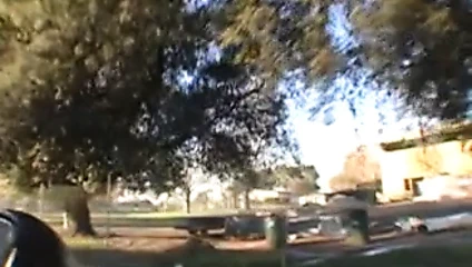 O seviyor büyük siyah horoz