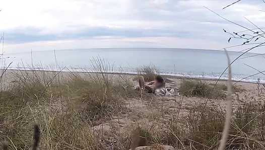 Fransız öğretmen sürtük çıplak plajda amatör sakso çekiyor yabancıyla boşalma - misscreamy