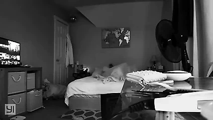 Büyük zenci yarağı dölü yut