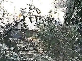 Yunan porno mia parthena gia olous (1983)