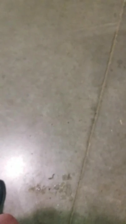 Tek başına boşalma