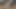Asyalı eşcinsel ibne kanepede beyaz erkek arkadaşıyla sevişiyor