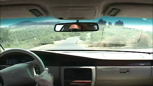 Audrey hollander anal otostopçu