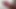 BÜYÜK BUNDONA TARAFıNı GÖSTEREN AMCıK ZıPLıYOR BUNDA DILDO ALıYOR