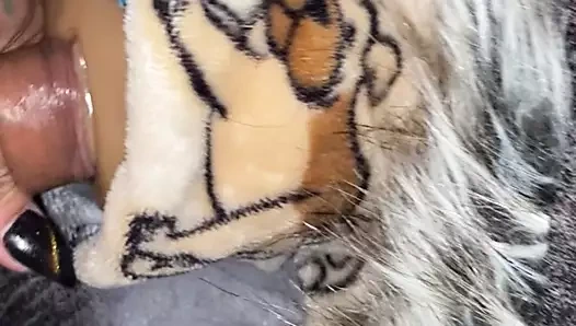 Tranny kahrolası oyuncak kedi