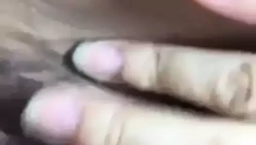 azgın kıllı KEDİ