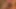 Desi Hint oral seks