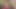 Güzel travesti ile rüyalar gerçek oluyor