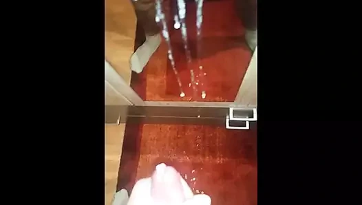 İkinci ayna boşalması, spiegel-wix ölür 2.