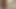 Labelladiablax muhteşem yağlı ayaklar
