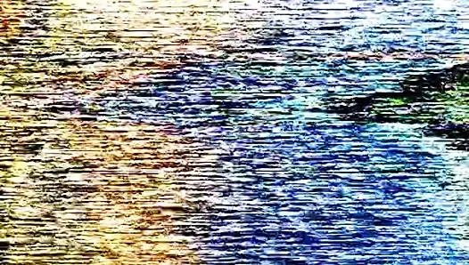 Venikler. polovye schetki (1991) 002-013 valentina grigorieva