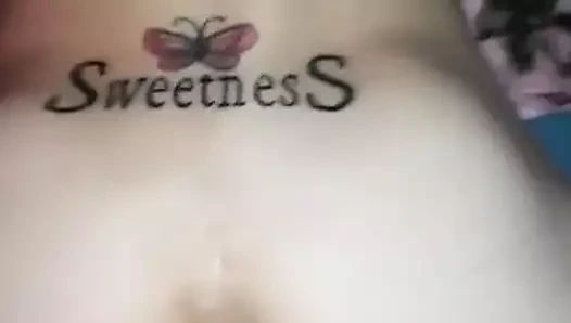 köpek tarzı krem ​​üzerinde horoz