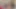 Vends-ta-culotte - naylon çoraplı çarpıcı Fransız orta yaşlı seksi kadın yatağında mastürbasyon yapıyor