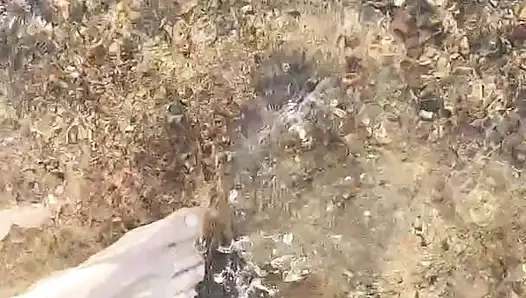 Notfallenangel videosu