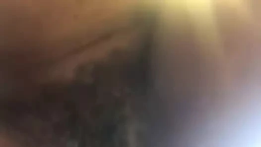 Olgun bayan ile güzel kıllı kedi