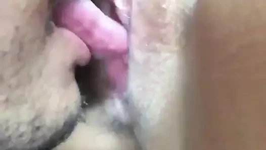 Güzel kedi almak yaladı dışarı