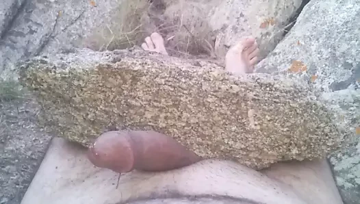 Taşın ağırlığı ve bitkinin tatlılığı