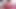 Irklararası oral oral seks siyah dildoya güzel bir Latin kız tarafından yapılmış, büyük kalçalara sahip