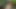 Fuck and Suck BIG Tits Stranger in Woods