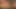 Seks üniversitesinden küçük döle aç sikiş tavşanı her zaman sikişmek istiyor