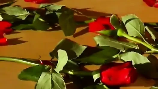 Yarak bu seksi sarışının tıraşlı amını dolduruyor