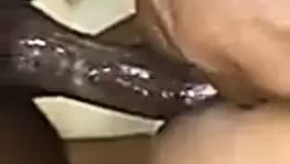 Çok sıcak sri lankalı kız arkadaşla sikiş - sulu kedi