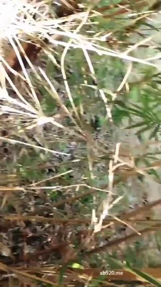 Dış mekan çapaları, yoldan geçenleri baştan çıkarmak için uzun etekler giyer