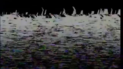 Muhteşem civciv tohumlama alır