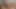Telefonunda fotoğraflarıma bakıyordu ve ben ona hayatının en iyi oral seksini yaptım