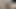 Güzel Hintli kız kıllı amını parmaklıyor
