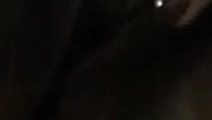 solo kız KEDİ oyun 1